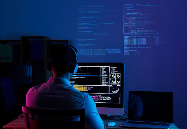 web development xenmac